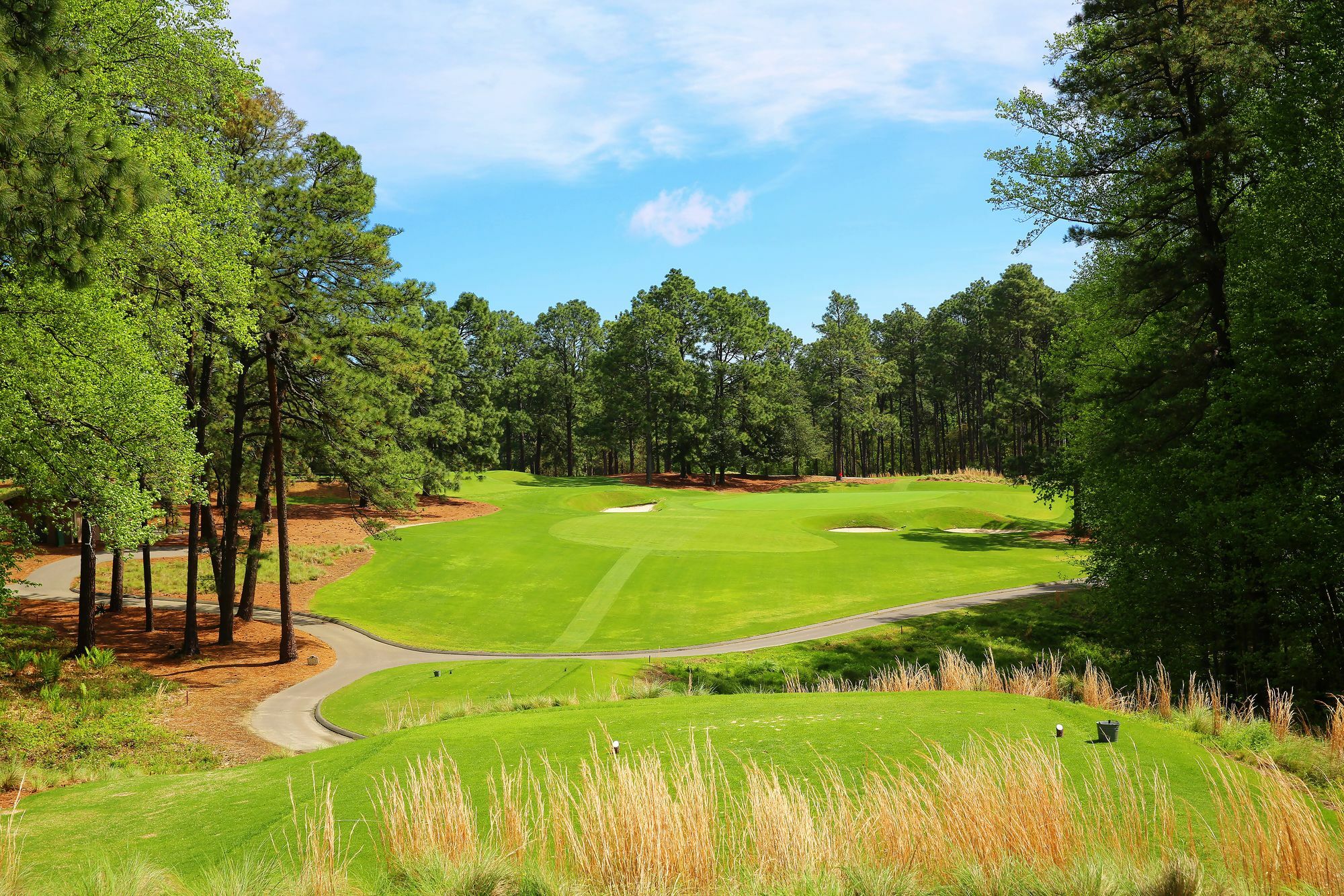 Pine Needles Lodge & Golf Club Southern Pines Luaran gambar